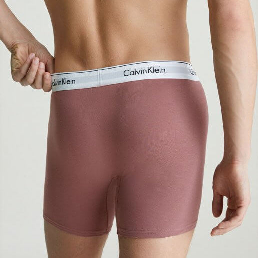 Calvin Klein 3 Pack Modern Cotton Boxer Briefs - Capri Rose / Blue / Arona