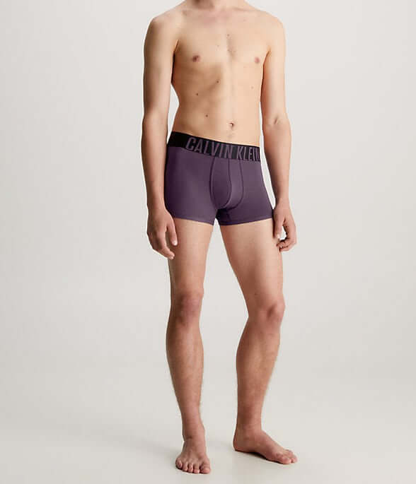 Calvin Klein 2 Pack Trunks Intense Power - Carrot