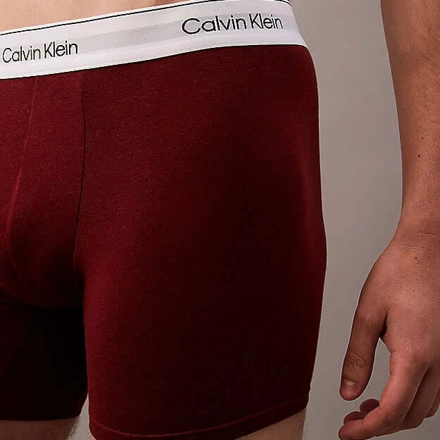 Calvin Klein 5 Pack Modern Cotton Boxer Briefs - Black / Grey / Blue / Red / Beige