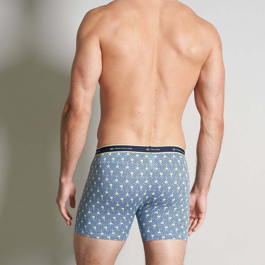 Tom Tailor Men's 2 Pack Cotton Stretch Long Boxer Briefs - Blue AllOver