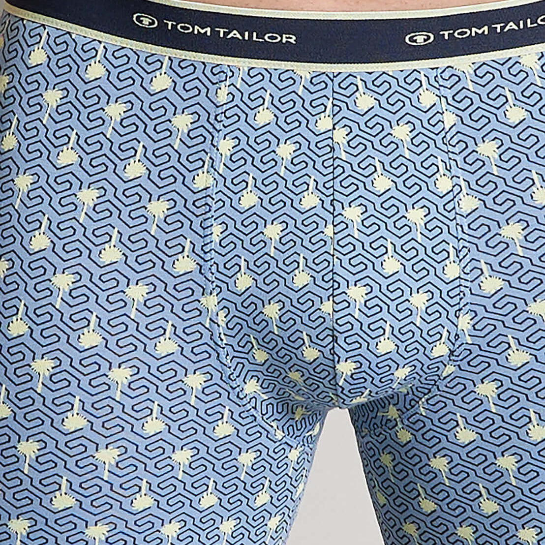Tom Tailor Men's 2 Pack Cotton Stretch Long Boxer Briefs - Blue AllOver