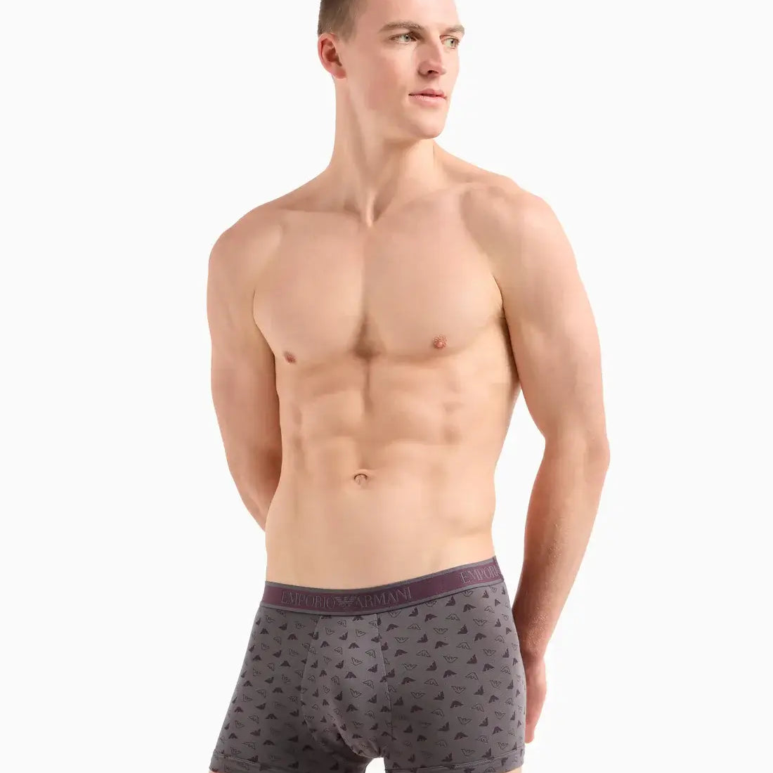 Emporio Armani 3 Pack Trunks Stretch Cotton - Grey / Black / Print