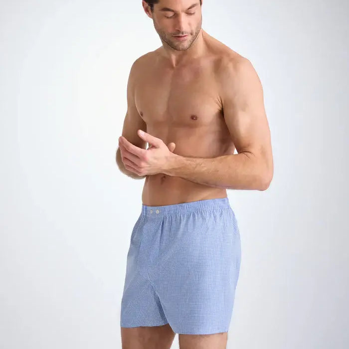 Derek Rose Men’s Luxury Gingham Cotton Boxers – Classic Fit, Light Blue
