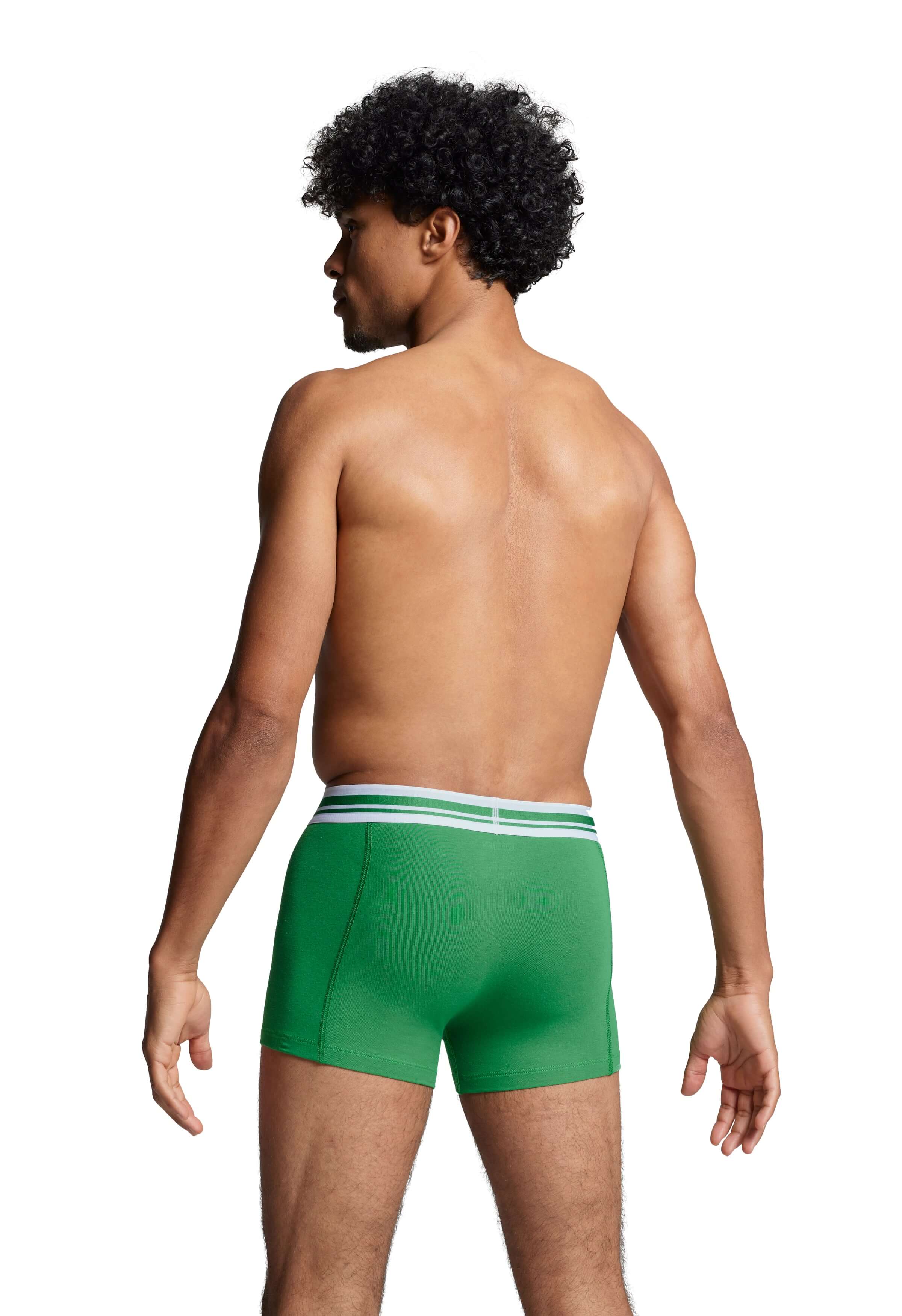 Puma Placed Logo Men's Boxer Underwear 2 Pack - Green