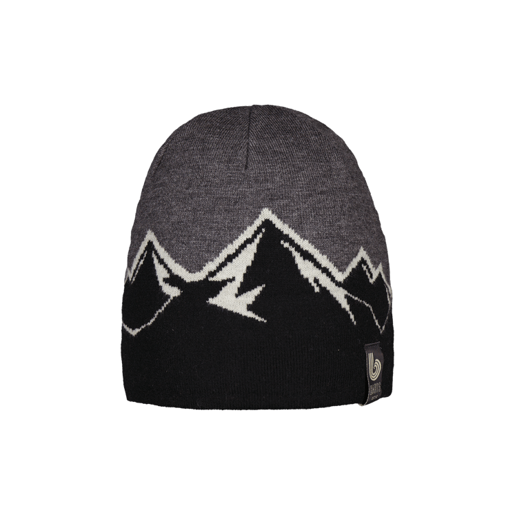 Barts Timberline Men's Beanie - Black