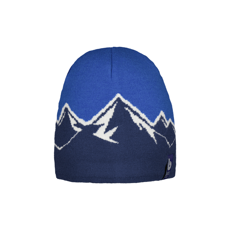 Barts Timberline Men's Beanie - Blue