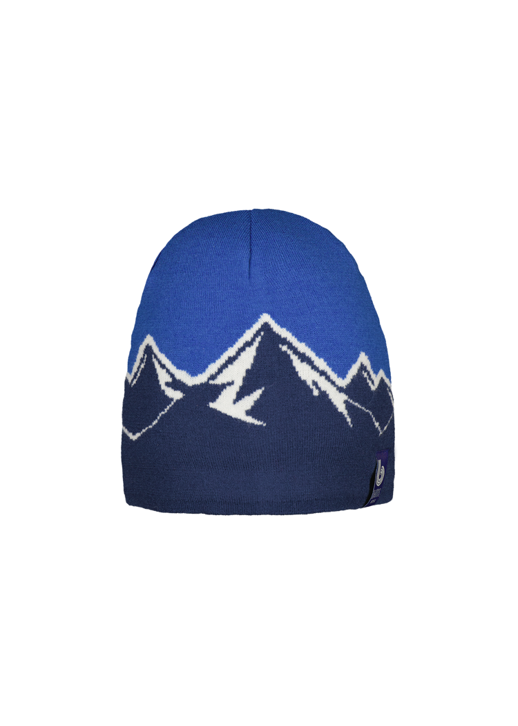 Barts Timberline Men's Beanie - Blue