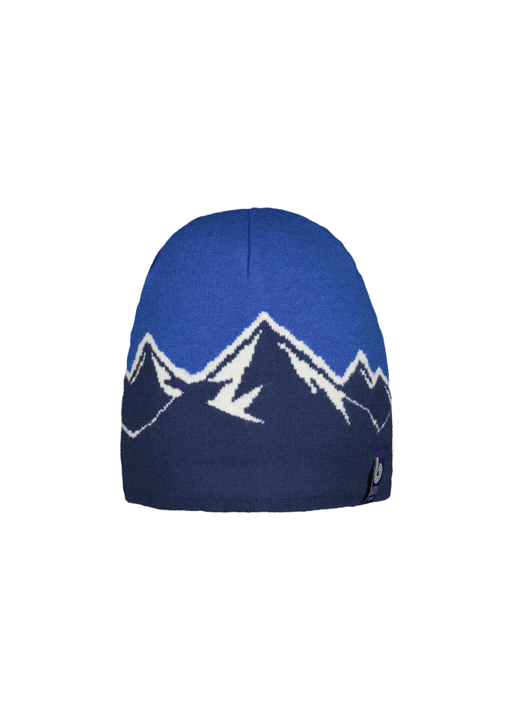 Barts Timberline Men's Beanie - Blue