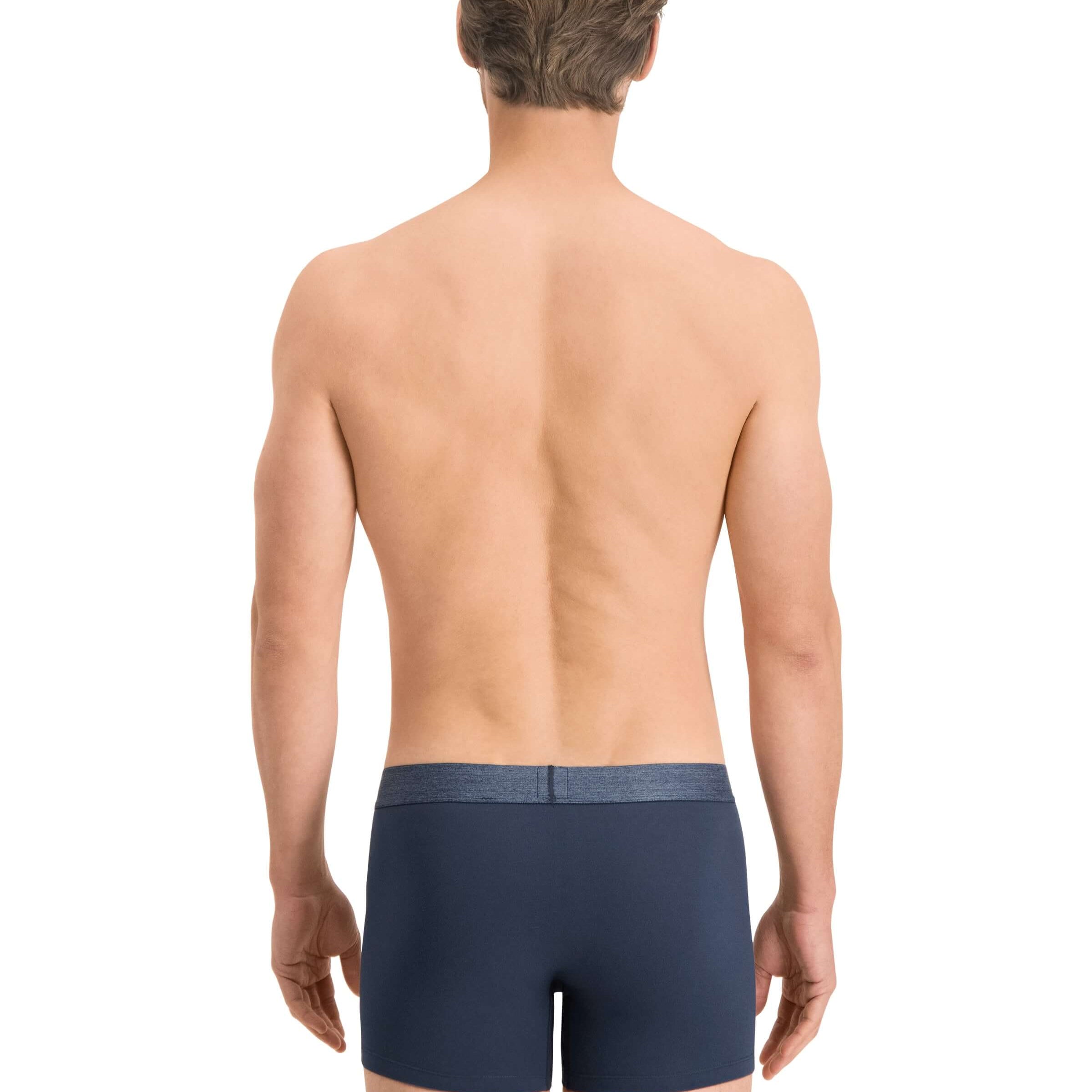 Levi's 2 pack Organic Cotton Boxer Briefs - Mood Indigo