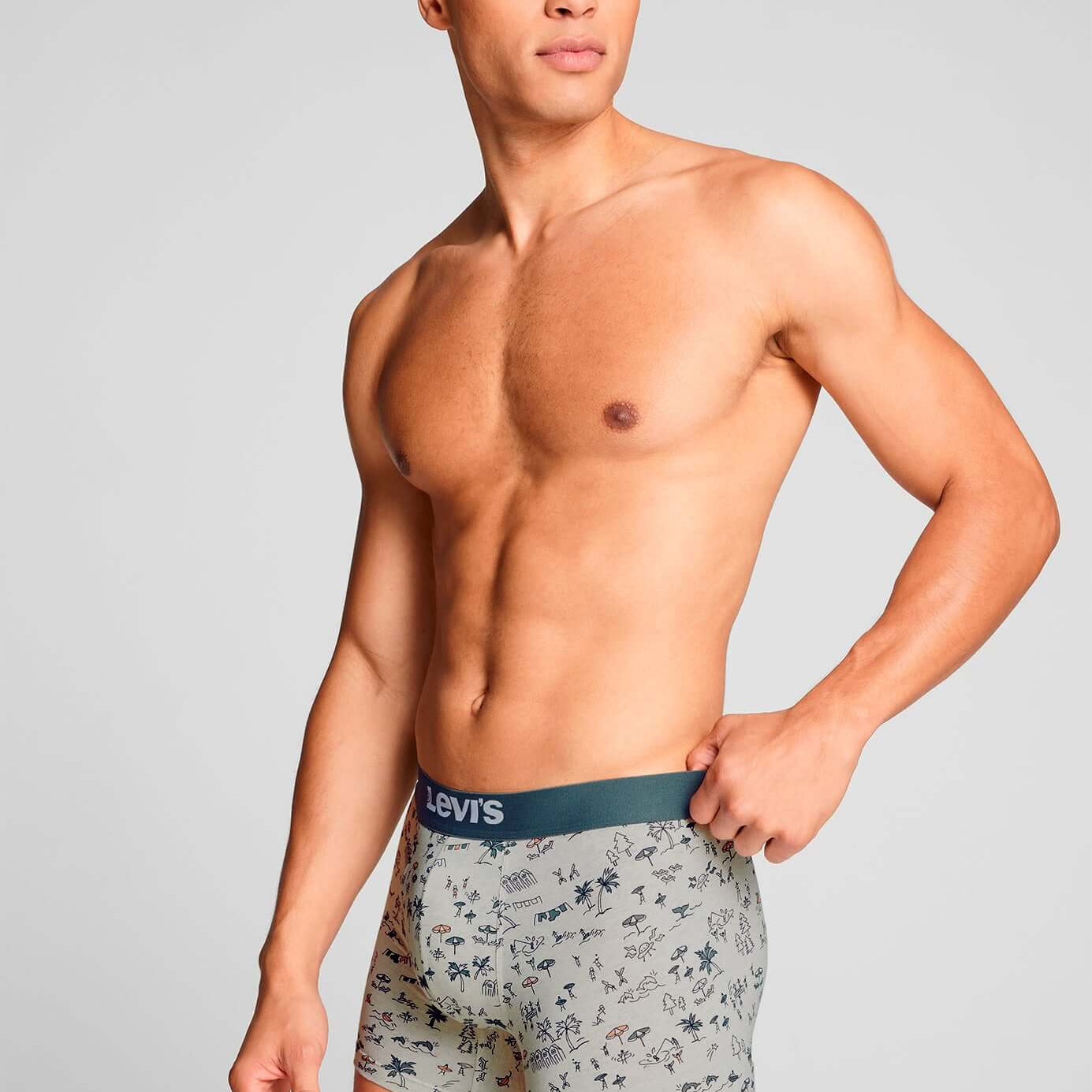 Levi's 2 pack Flower AOP Boxer Briefs - Marshmellow/Green