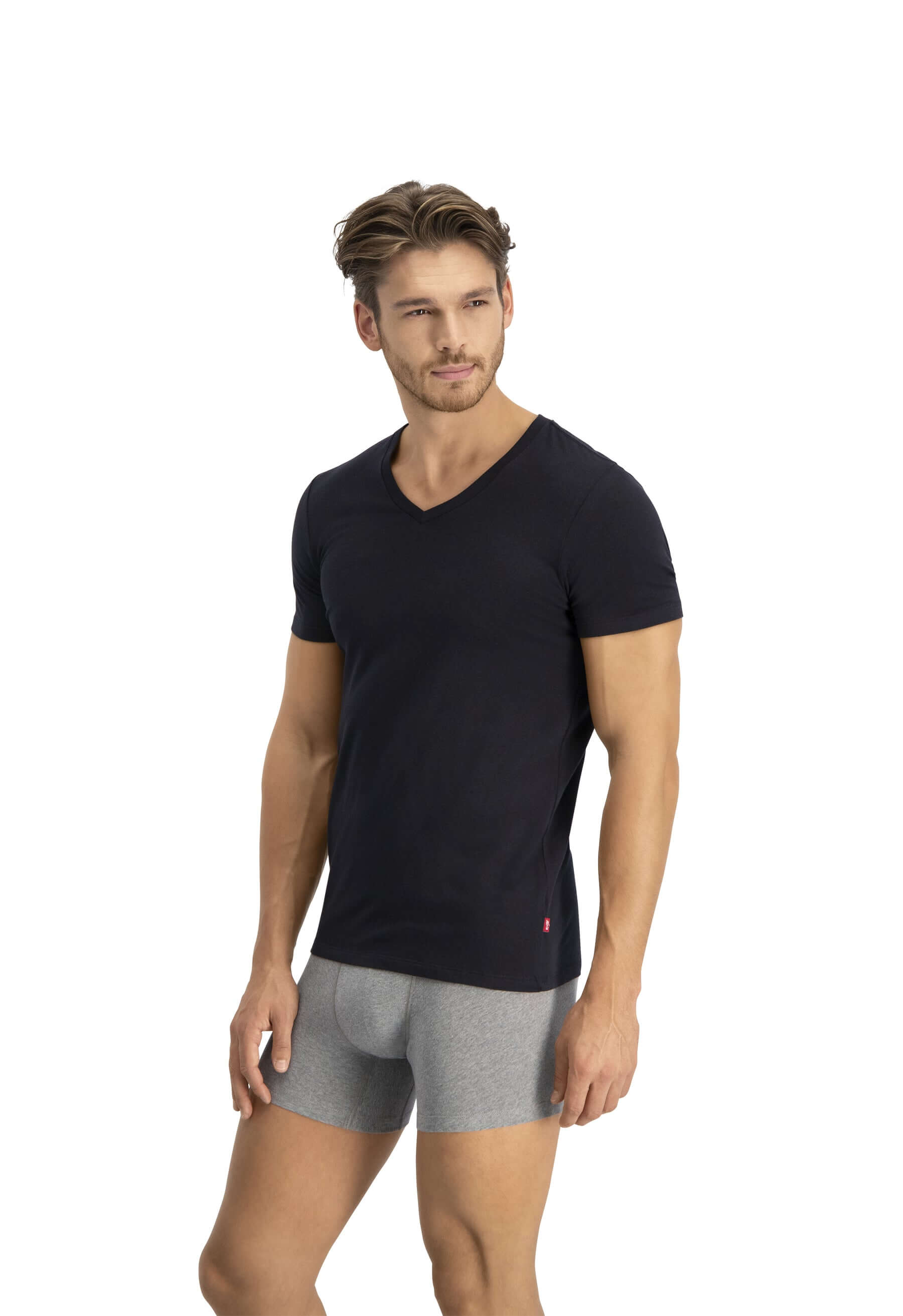 Levi's Premium V-Neck T-Shirt 2 Pack for Men - Black