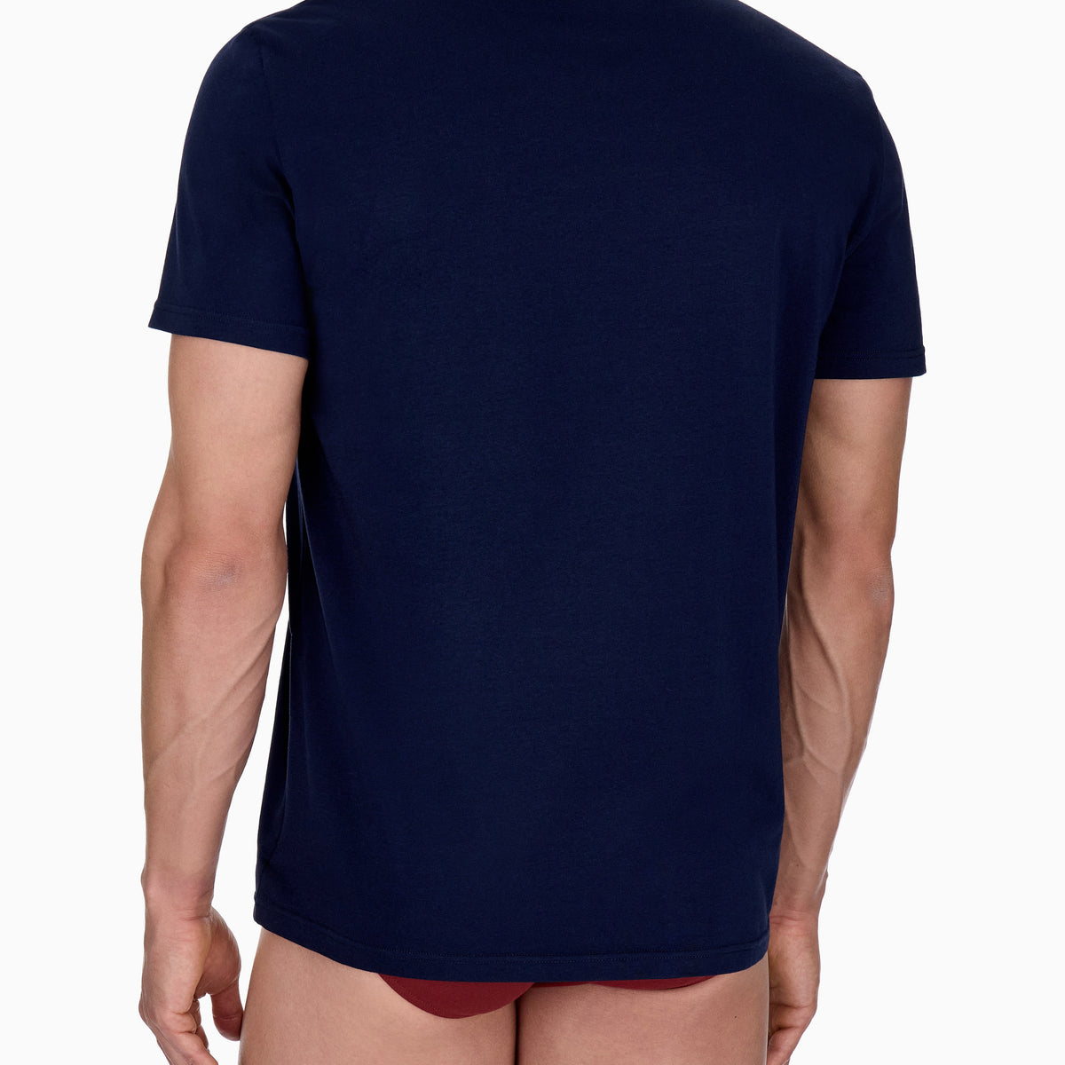 Emporio Armani 2 Pack T-Shirts Blue Brick model back