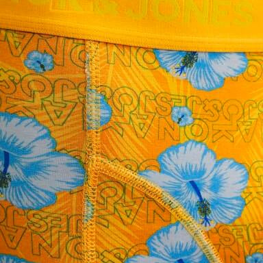 Jack & Jones 3 Pack Jachawaii Trunks - Palace Blue / Irish Green