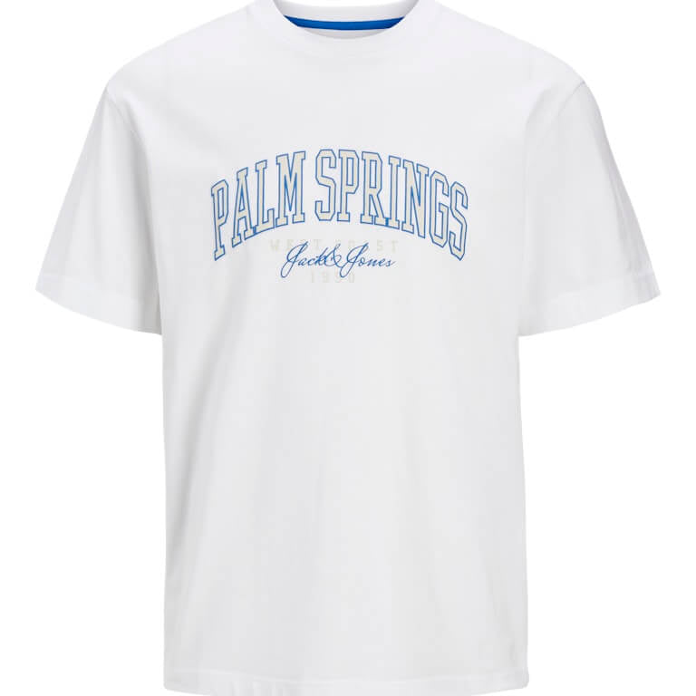 Jack & Jones 1 Pack JJDETROIT Crew Neck 100% Cotton T-Shirt