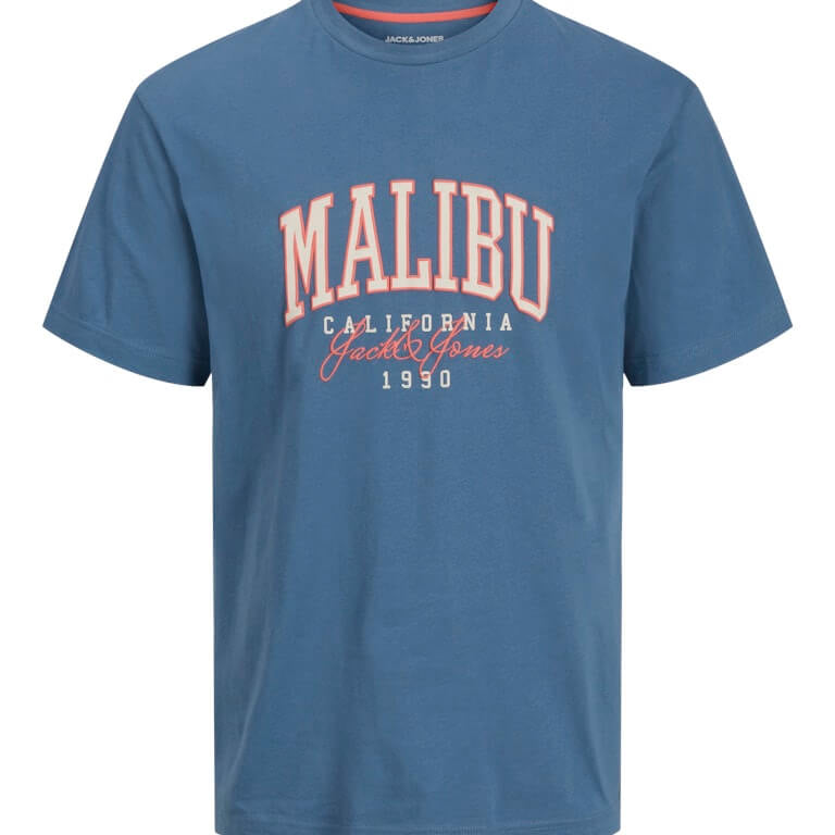 Jack & Jones 1 Pack JJDETROIT Crew Neck 100% Cotton T-Shirt