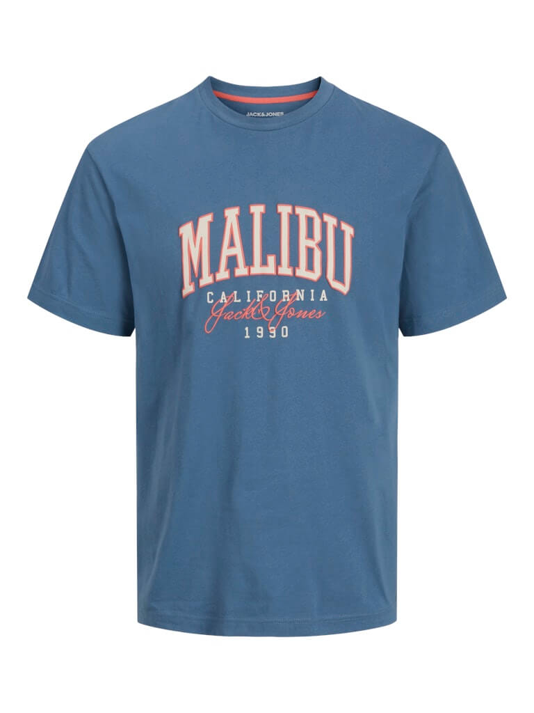 Jack & Jones 1 Pack JJDETROIT Crew Neck 100% Cotton T-Shirt