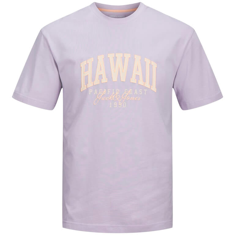 Jack & Jones 1 Pack JJDETROIT Crew Neck 100% Cotton T-Shirt