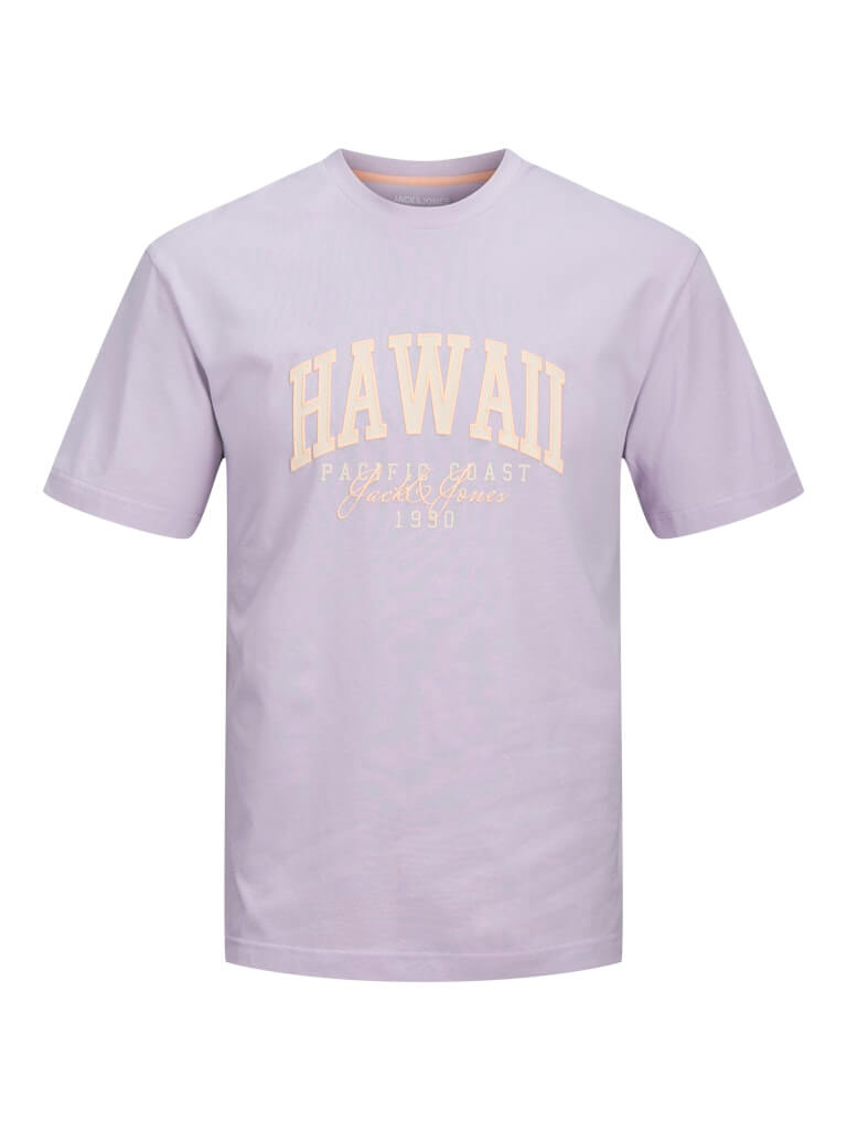 Jack & Jones 1 Pack JJDETROIT Crew Neck 100% Cotton T-Shirt