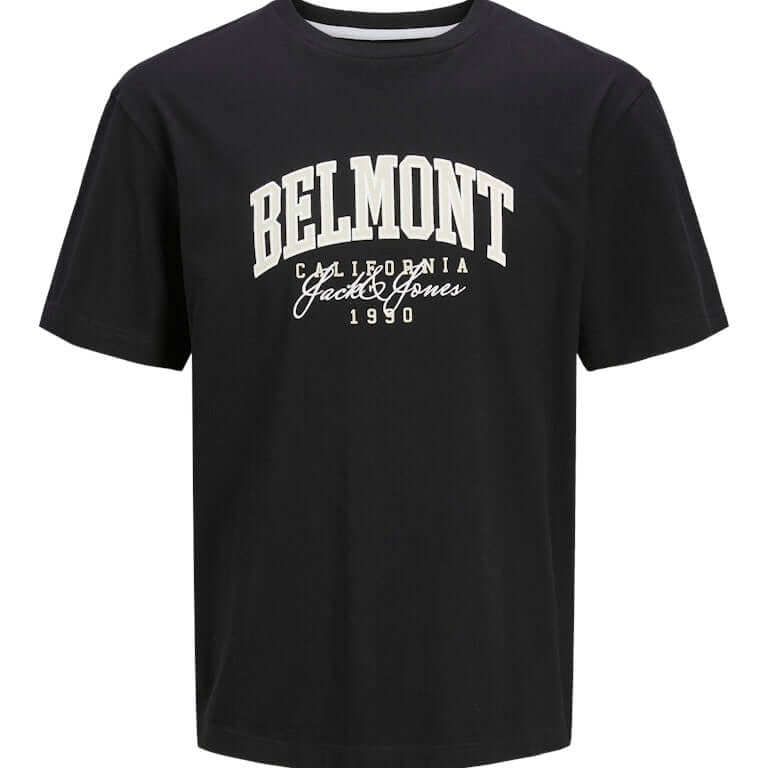 Jack & Jones 1 Pack JJDETROIT Crew Neck 100% Cotton T-Shirt