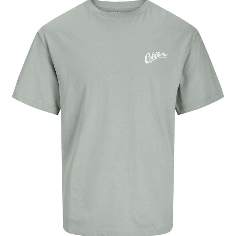 Jack & Jones JJZEKIEL Crew Neck 100% Cotton T-Shirt - Iceberg Green