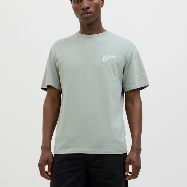 Jack & Jones JJZEKIEL Crew Neck 100% Cotton T-Shirt - Iceberg Green