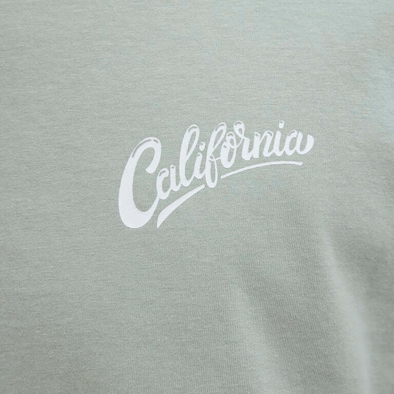 Jack & Jones JJZEKIEL Crew Neck 100% Cotton T-Shirt - Iceberg Green