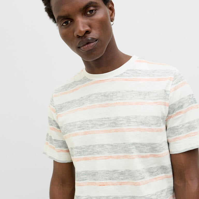 Jack & Jones JJBIRK Striped Crew Neck T-Shirt - Iceberg Green