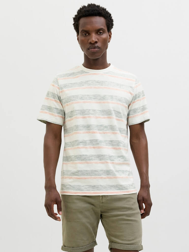 Jack & Jones JJBIRK Striped Crew Neck T-Shirt - Iceberg Green