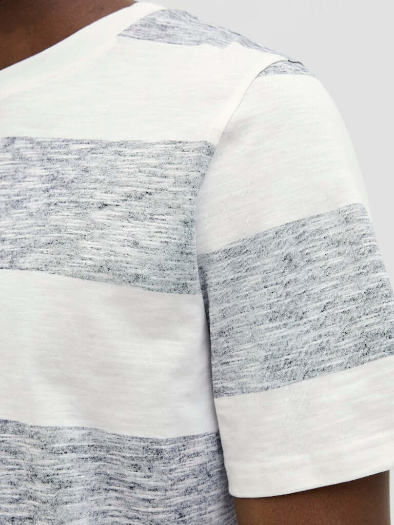 Jack & Jones JJBIRK Striped Crew Neck T-Shirt - Blue Multi