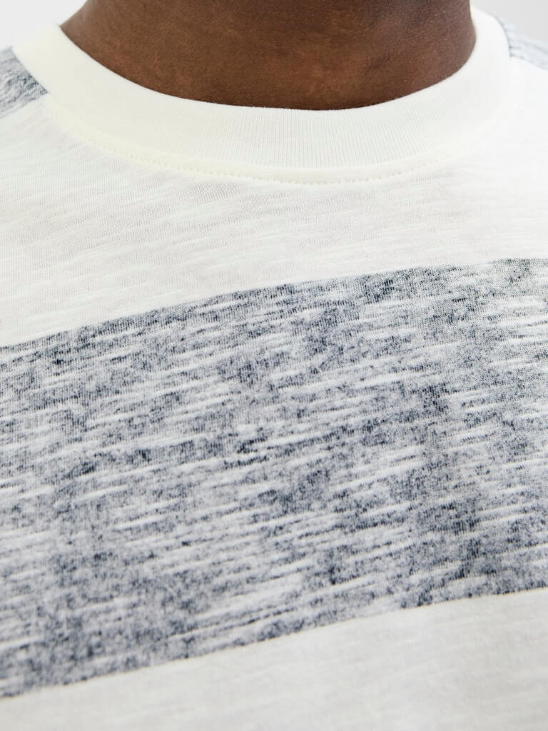 Jack & Jones JJBIRK Striped Crew Neck T-Shirt - Blue Multi