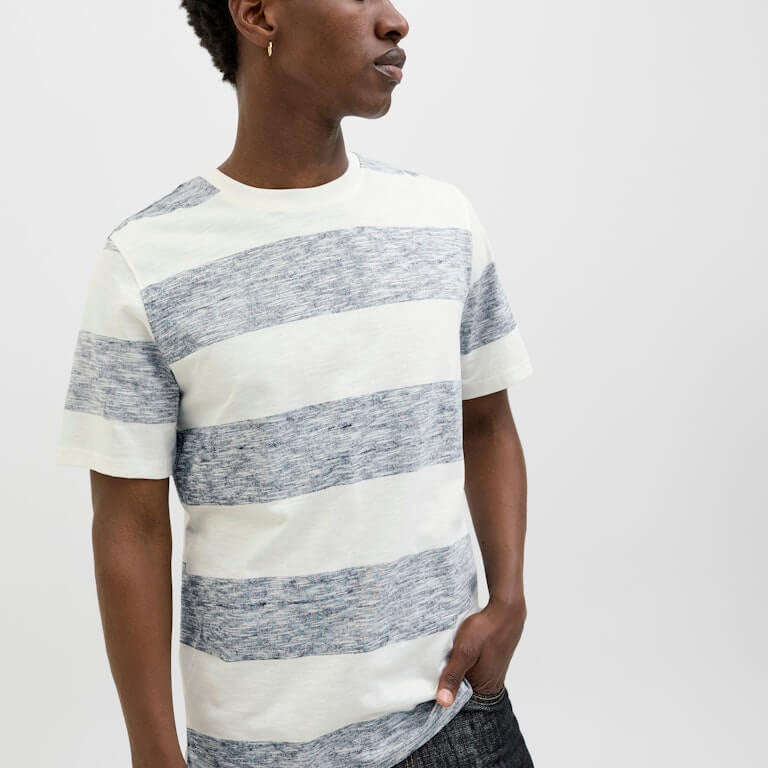 Jack & Jones JJBIRK Striped Crew Neck T-Shirt - Blue Multi