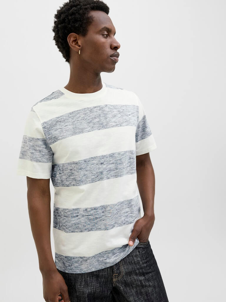 Jack & Jones JJBIRK Striped Crew Neck T-Shirt - Blue Multi