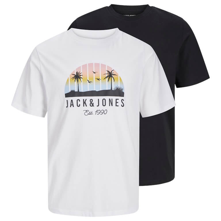 Jack & Jones 2 Pack JJPALM Crew Neck T-Shirts - White/Black