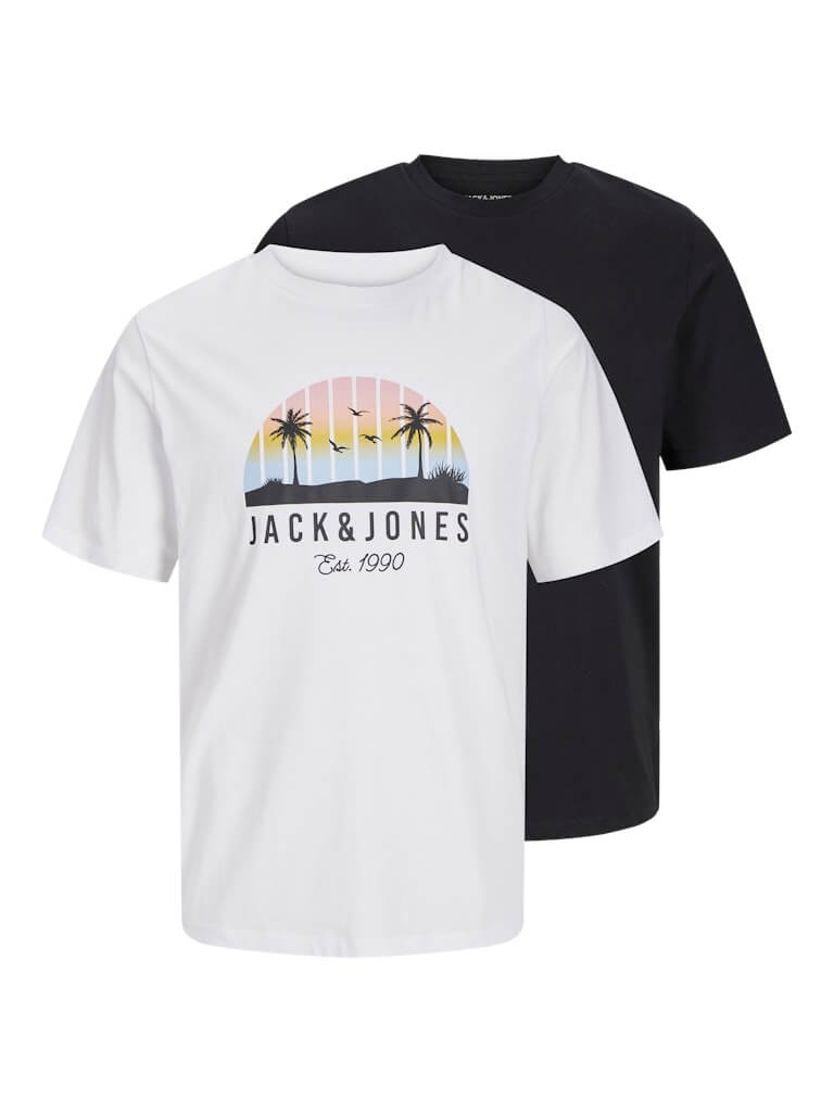 Jack & Jones 2 Pack JJPALM Crew Neck T-Shirts - White/Black