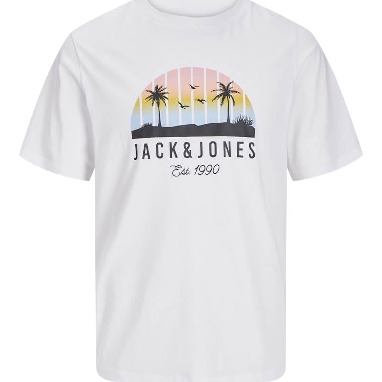 Jack & Jones 2 Pack JJPALM Crew Neck T-Shirts - White/Black