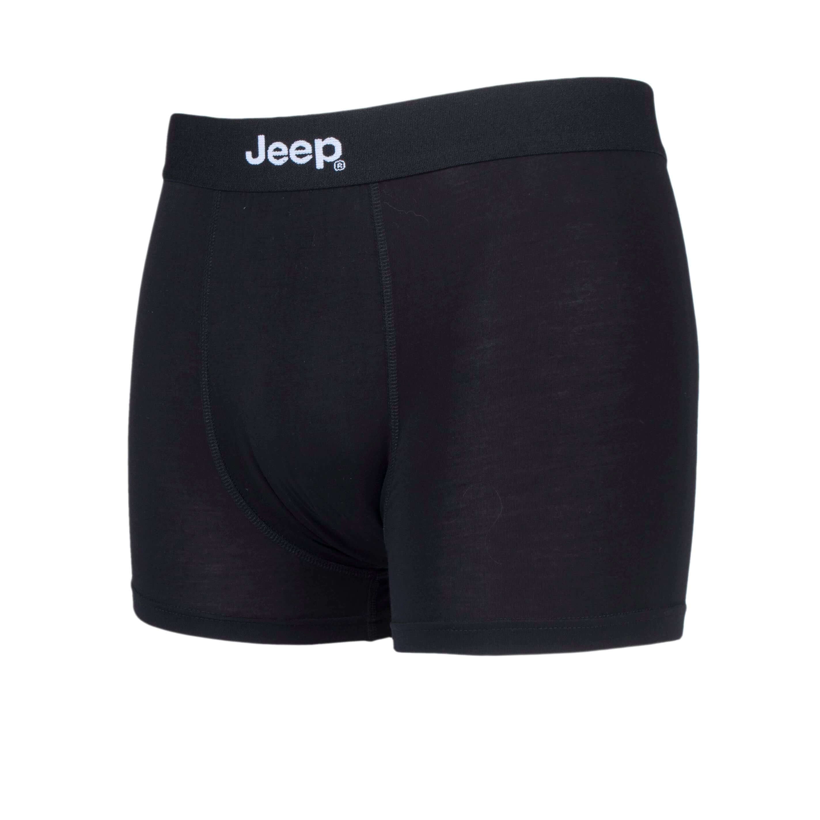 Jeep 2 Pack Men's Plain & Fine Stripes Fitted Bamboo Trunks