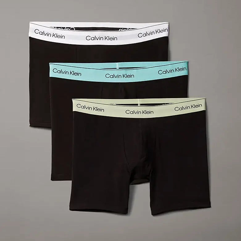 Calvin Klein 3 Pack Boxer Briefs – ICON Cotton Stretch, B- White, Beau Blue, Leafy Fun WBS