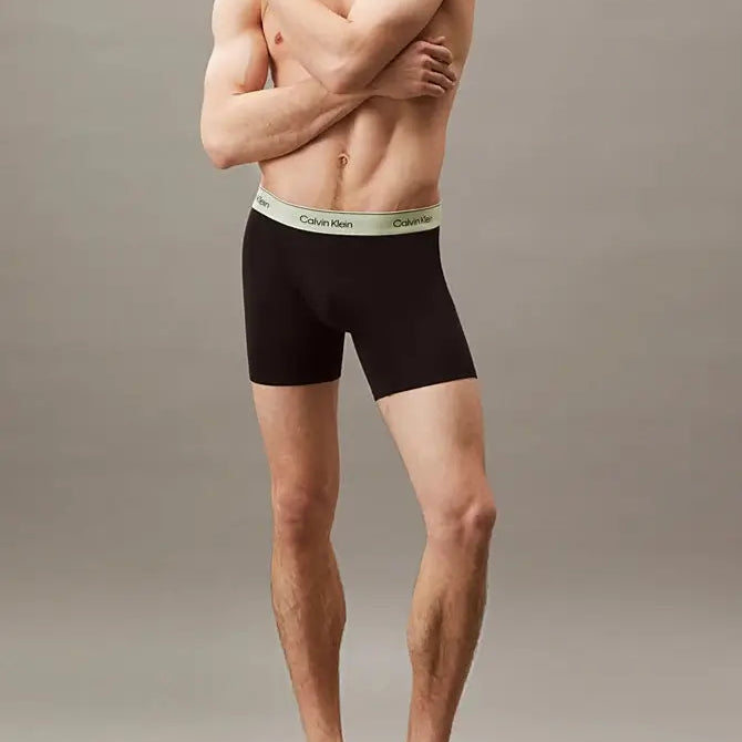 Calvin Klein 3 Pack Boxer Briefs – ICON Cotton Stretch, B- White, Beau Blue, Leafy Fun WBS