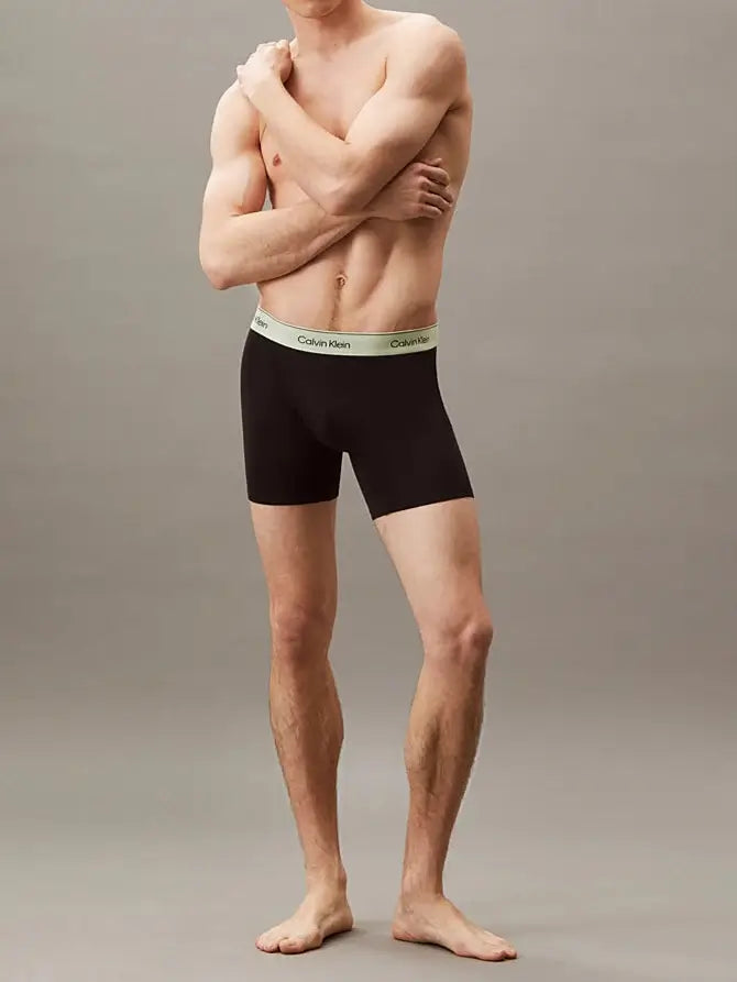 Calvin Klein 3 Pack Boxer Briefs – ICON Cotton Stretch, B- White, Beau Blue, Leafy Fun WBS