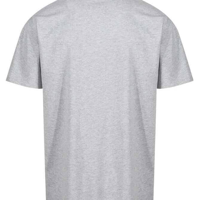 Luke 1977 Exquisite Relaxed Fit T-Shirt - Mid Marl Grey
