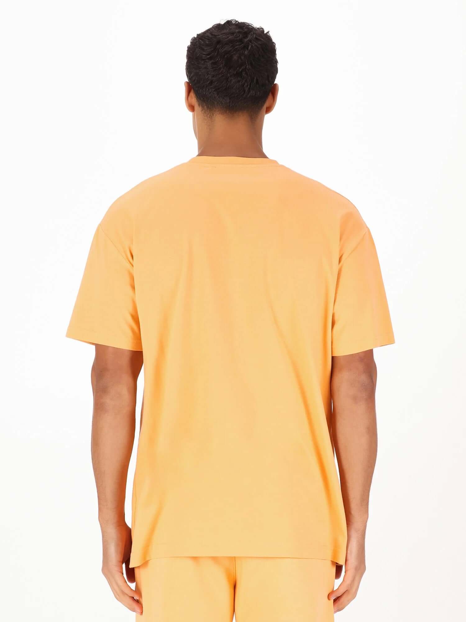 Luke 1977 Exquisite Relaxed Fit T-Shirt - Nectarine