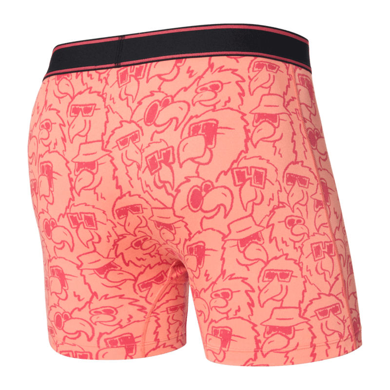 Saxx Comfort Stretch Daytripper 1 Pack Boxer Briefs, Parrot Party Fusion - Coral