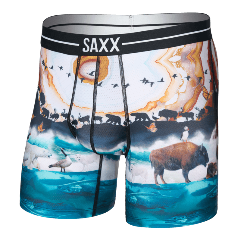 Saxx Underwear Volt Breathable Mesh Boxer Brief 6" - Great Migration, Multi