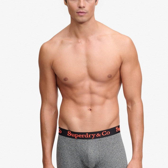 Superdry & Co Trunks Grey Grit model back