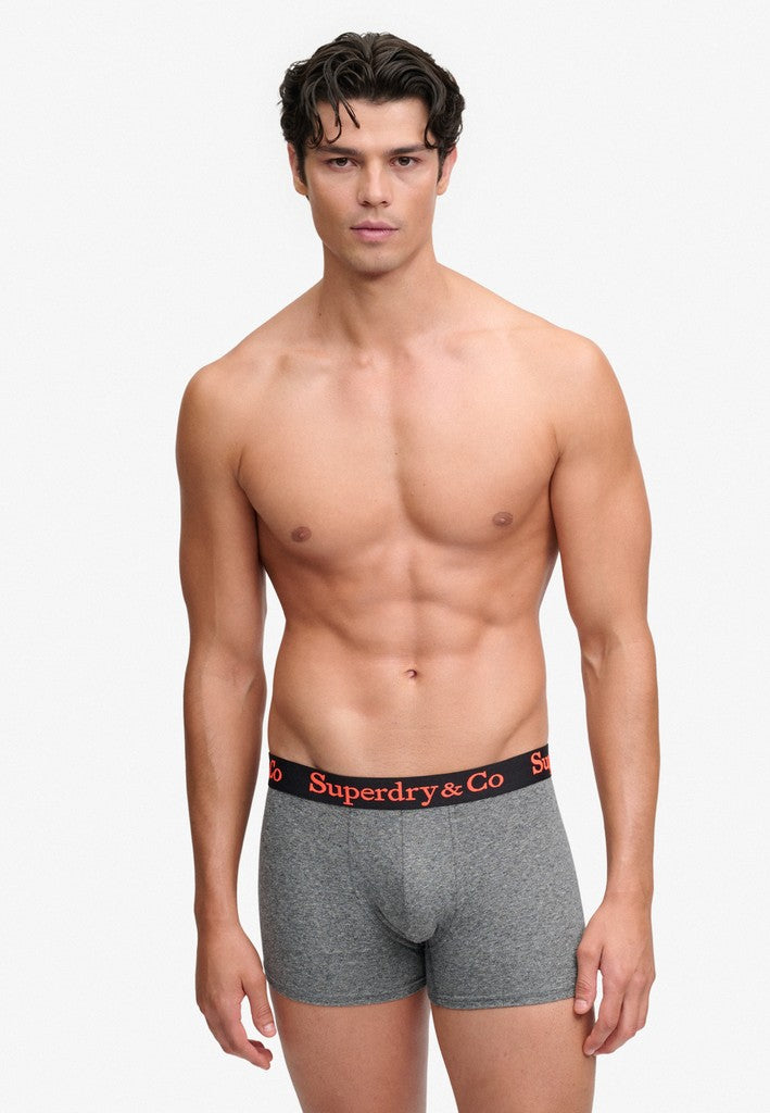 Superdry & Co Trunks Grey Grit model back