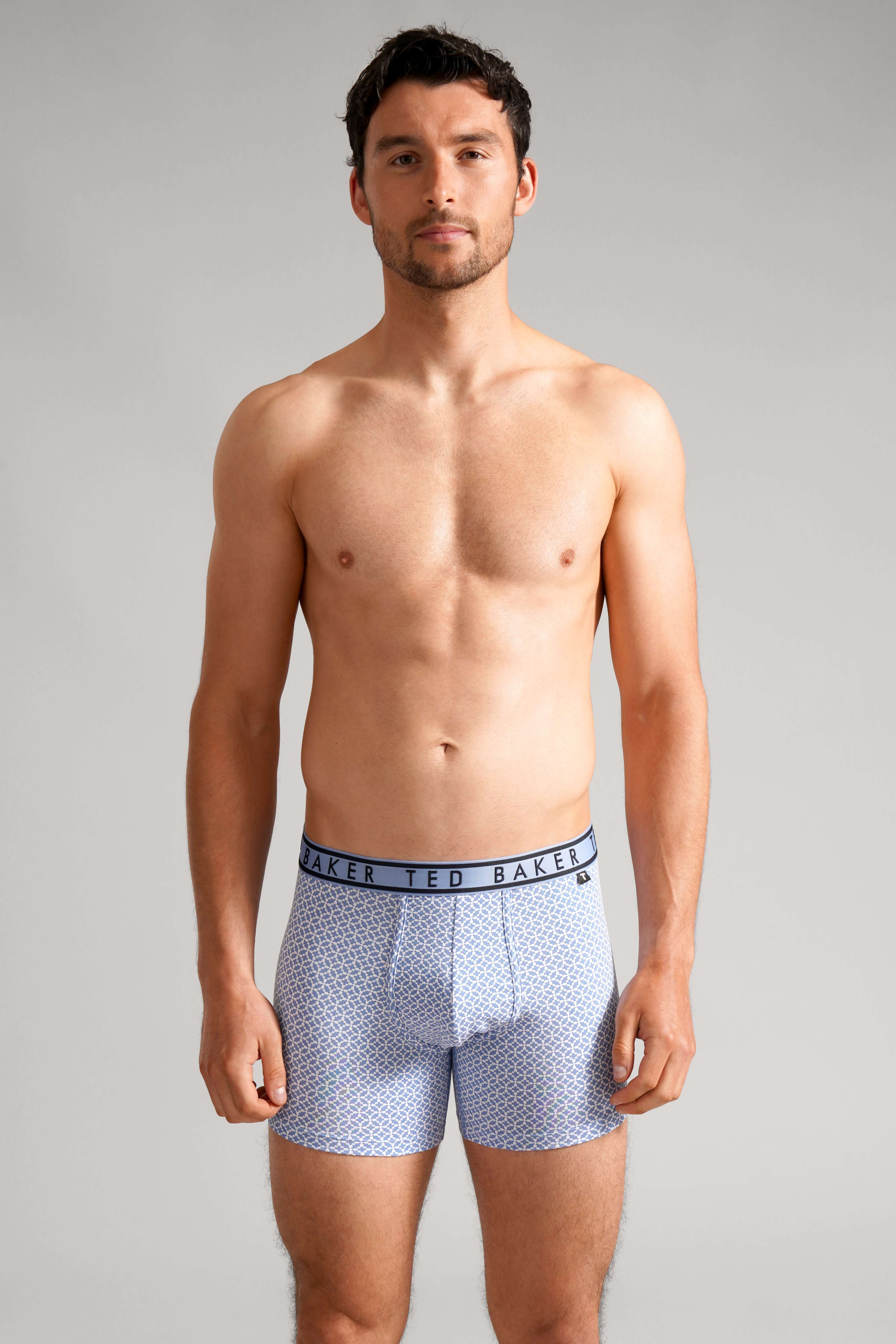 Ted Baker 3-Pack Boxer Briefs, White/ Blue Tile/ Heather Grey