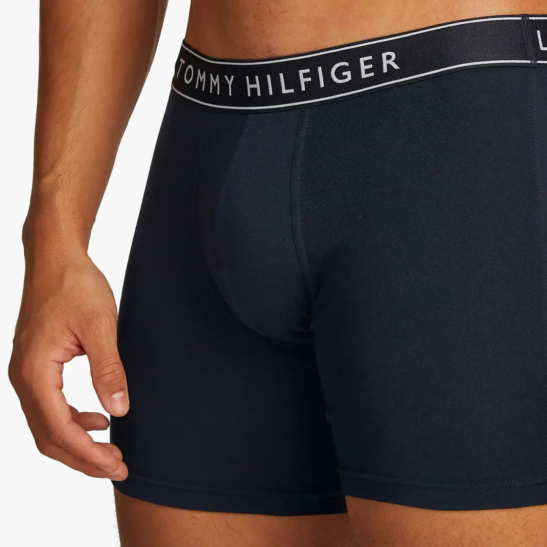 Tommy Hilfiger 3-Pack Logo Waistband Boxer Briefs - Desert Sky