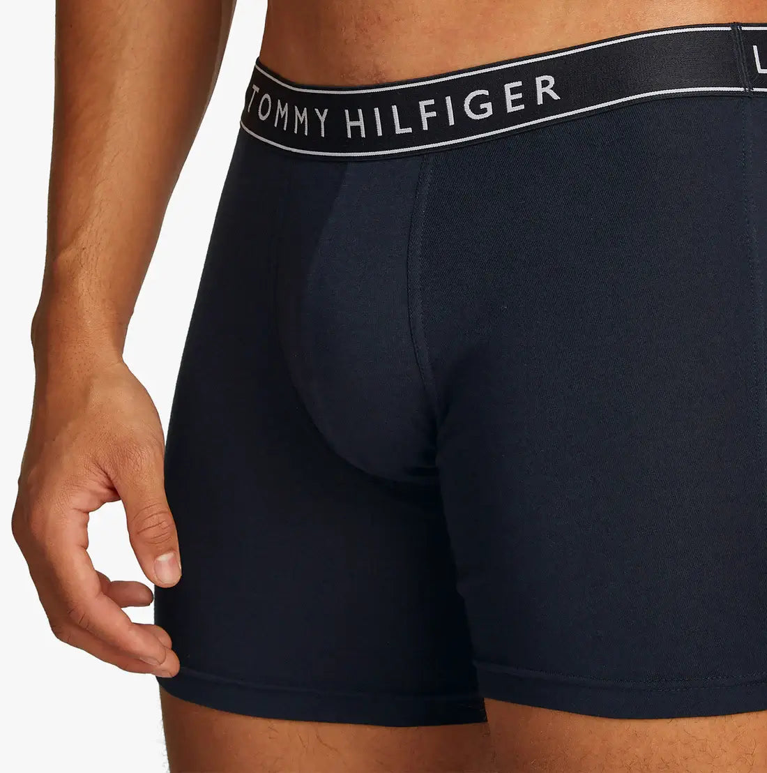 Tommy Hilfiger 3-Pack Logo Waistband Boxer Briefs - Desert Sky