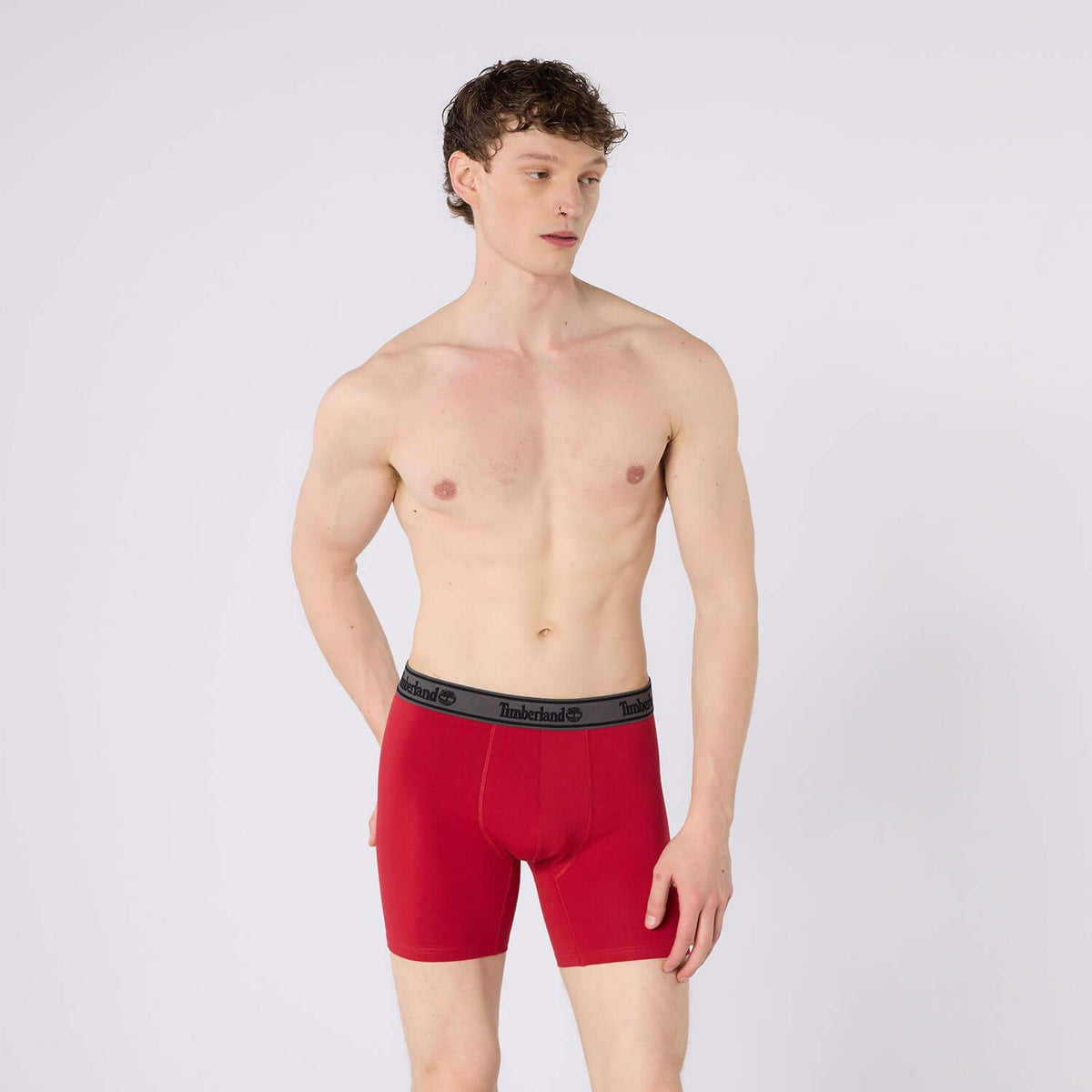 Timberland Cotton Stretch 3 Pack Boxer Briefs – Assorted Colours - Navy / Grey / Red - image 5