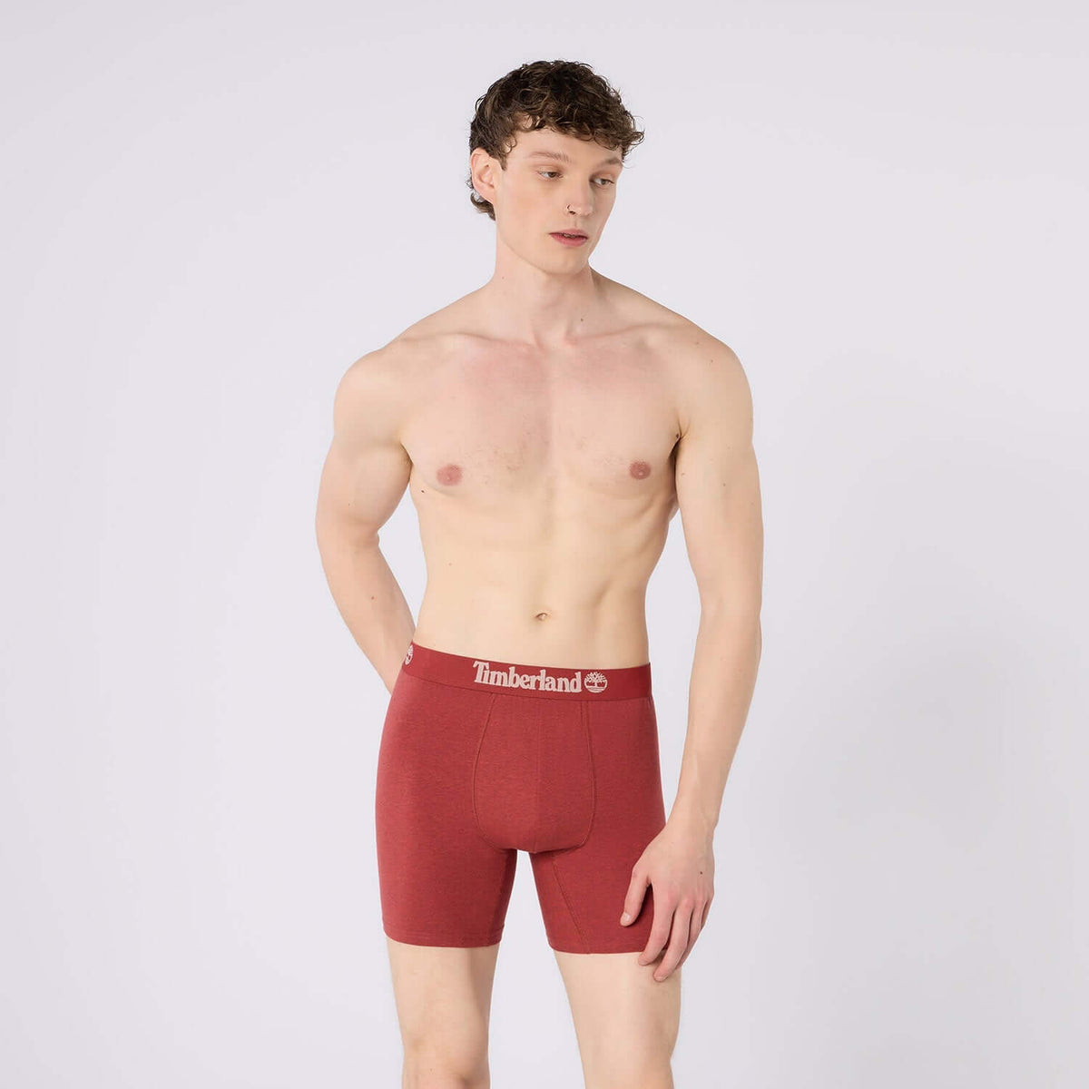 Timberland Cotton Stretch 3 Pack Boxer Briefs – Assorted Colours - Olive / Grey / Rosewood Marl - image 1